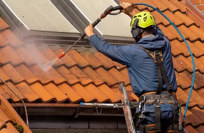Démoussage et hydrofuge de toiture à Irouléguy